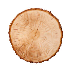 front view teak birch tree slice cookie isolated on a white transparent background 