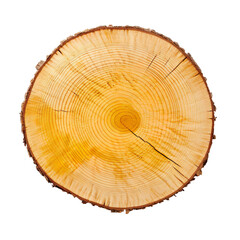 Fototapeta premium front view yellow birch tree slice cookie isolated on a white transparent background 