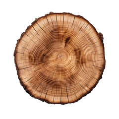 front view willow tree slice cookie isolated on a white transparent background 