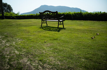 bench in the park