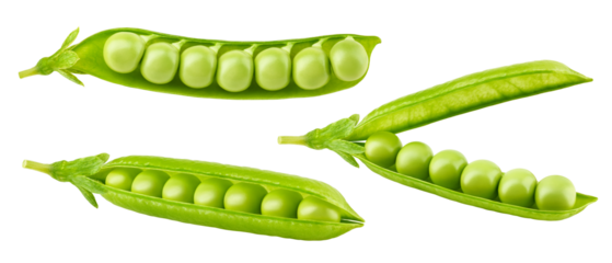 green Pea pod, isolated on white background, clipping path, full depth of field