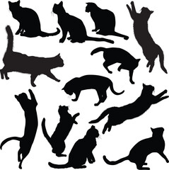 twelve isolated black cats on white