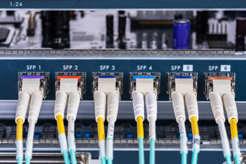 Fiber optic patch cord connected to switch interface