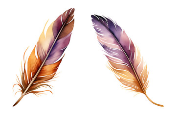 Feathers, watercolor clipart illustration with isolated background