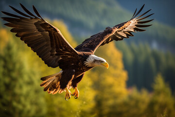 Naklejka premium An majestic eagle fly and hunting in natural wild environment, close-up.