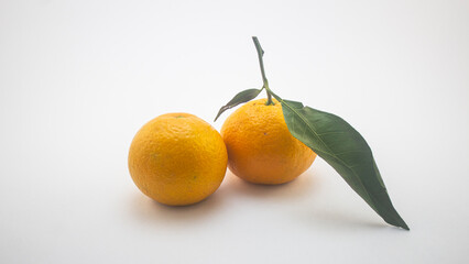 two yellow tangerines on a white background, fruit on a white background