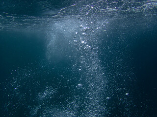 bubbles, bubbles undersea, undersea, green water, underwater, crystal sea, background, sea, bubble,...