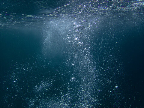 bubbles, bubbles undersea, undersea, green water, underwater, crystal sea, background, sea, bubble, bubbles underwater, water, blue, ocean, mediterranean, light, diving, backdrop, air, marine, aqua.