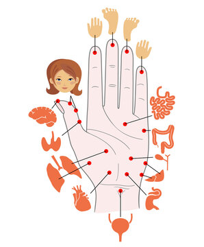 recommend clip art: Human anatomy. Illustration of human hand and internal organs. Sujok therapy and acupuncture