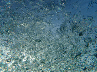 bubbles, bubbles undersea, undersea, green water, underwater, crystal sea, background, sea, bubble, bubbles underwater, water, blue, ocean, mediterranean, light, diving, backdrop, air, marine, aqua.