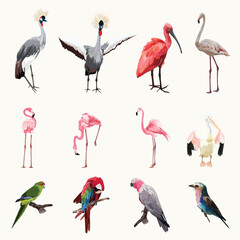 Big set of cute exotic birds  illustration.  Set of stickers, pins, patches and handwritten notes collection stikers kit.