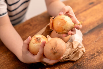 Wholesome harvest: a child's hands reveal the bounty of a complete yellow onion, illustrating the...