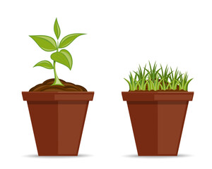 Set of green plants in pots. Grass in a flower pot. A young plant in a flower pot. Vector illustration