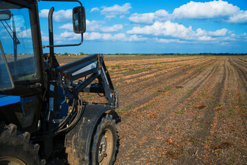 Harvesting onions with the help of an agricultural combine