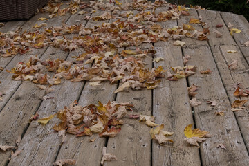 Dead fall leaves on a deck in Autum.