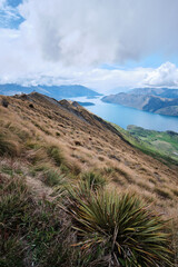 Roys peak in new zealand