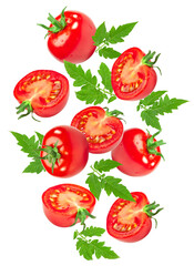 flying tomatoes with green leaves isolated on white background. clipping path.