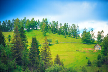 Tranquil Mountain Landscape with house on the forested slopes of Carpathians