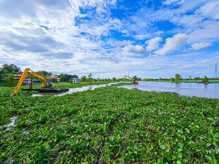 Eliminate water hyacinths that block water canals in Thailand.