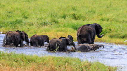 Crossing a river