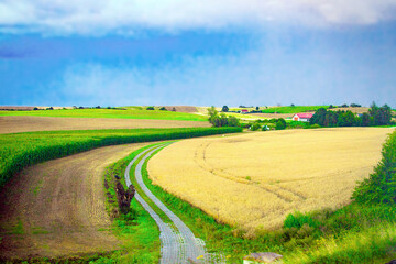 The field road leads to the barn and farm located among the picturesque agricultural land. European rural landscape. Poland