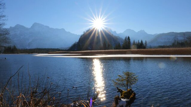 Ripples on the Water Surface of a Beautiful Blue Mountain Lake with Little Conifer Tree and Sun Star and Lens Flare