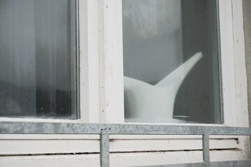 Fenster mit weißem Holzrahmen von Haus und weißer Blumengießkanne aus Plastik auf Fensterbank...