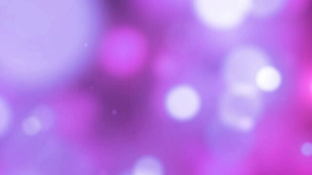 Fondo degradado animado, color rosa y morado, con burbujas fuera de fondo 