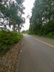 Estrada e vinhedo na região serrana no Sul do Brasil