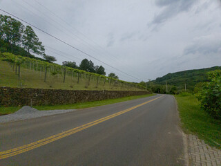 Estrada e vinhedo na região serrana no Sul do Brasil