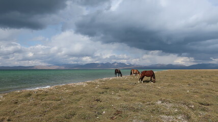 Die Pferde vom Song Köl, Kirgistan