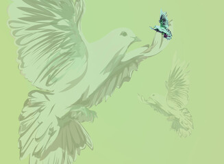 a dove with several silhouettes of other doves behind it, on a green background