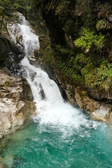 waterfall in the forest in new zealand