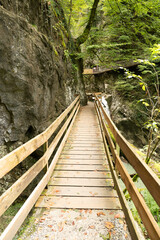 Hiking trail at the Rappenloch canyon in Dornbirn in Austria