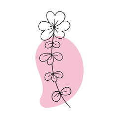 Vector doodle flower with round leaves on a pink spot. White isolated background. For postcards, emblems, logos.