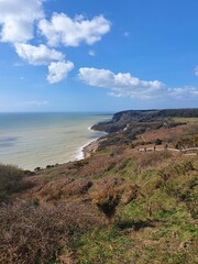 Various Pictures of the Coast at Hastings including the pier and the countryside park and a Cane Corso dog playing under the pier