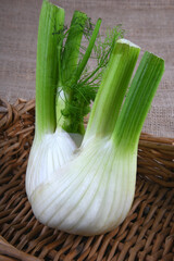Close up of the Fennel