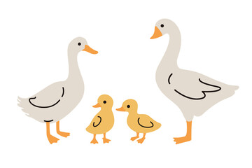 Domestic fowl. Vector contour illustration of goose, duck, and duckling. 