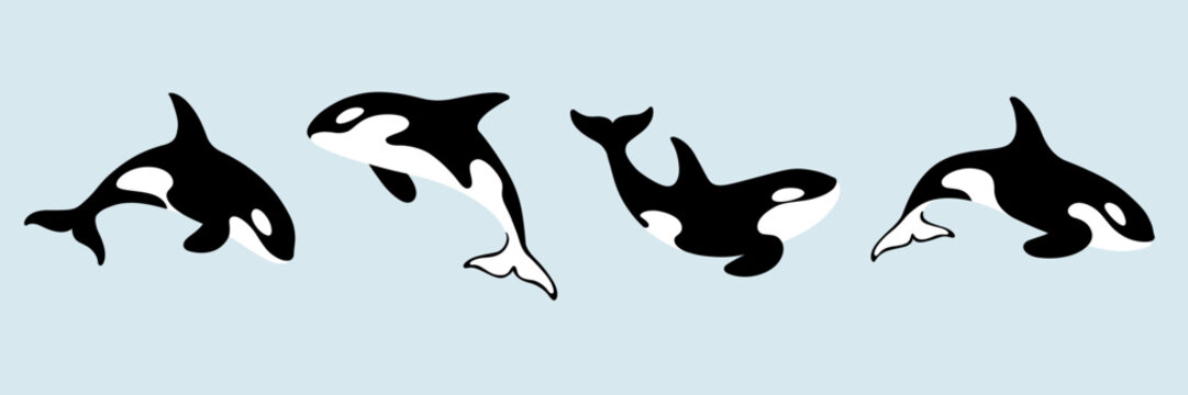 Cartoon killer whale sketch line icon. Сute animals set of icons.