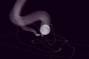 満月　月の軌跡