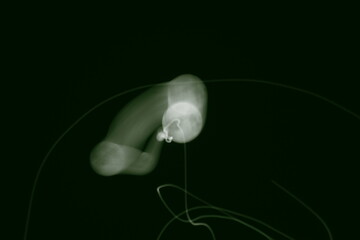 満月　月の軌跡