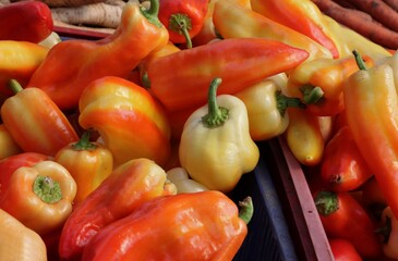 colorful various fruits of pepper vegetanle close up