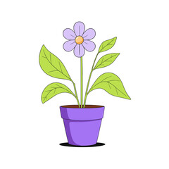 Home plant in a pot, flat vector illustration.