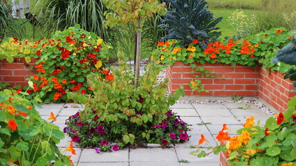 Summer background. A modern vegetable garden with raised bricks beds . Raised beds gardening in an urban garden