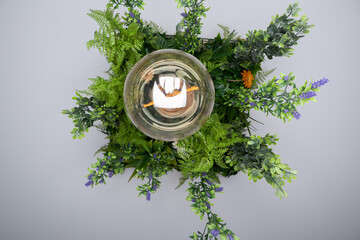 Hanging lamp made with hanging plant leaves and a large round bulb inside which we can see the word love