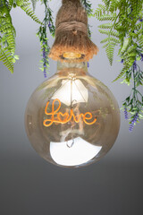light bulb, closeup of a large round light bulb inside which you can see the word love