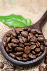 Arabica brown roasted coffee beans from Africa coffee producing region, cultivating in Ethiopia, Ivory Coast, Uganda, Kenya, Rwanda and Tanzania