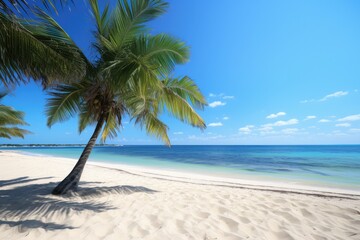 Summer Palm Trees Onbeach In Mexico. Сoncept Tropical Paradise, Beach Getaway, Mexican Vacation, Palm Tree Paradise