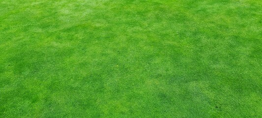 photo of a beautifully manicured lawn