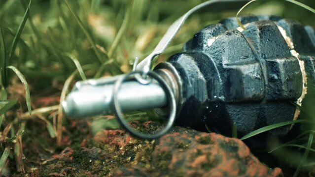  An insidious anti-personnel hand grenade is disguised in the grass.